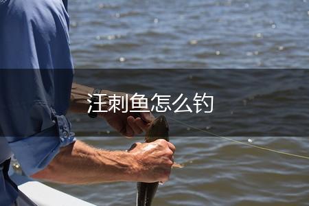 汪刺鱼怎么钓,第1张