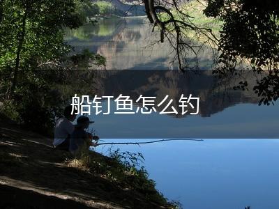 船钉鱼怎么钓,第1张