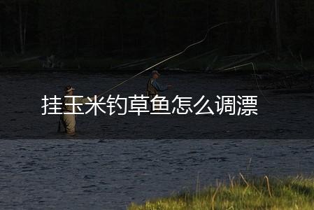 挂玉米钓草鱼怎么调漂,第1张