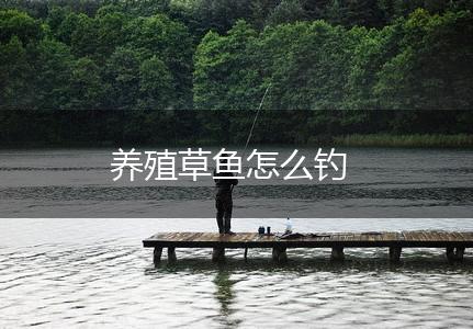 养殖草鱼怎么钓,第1张