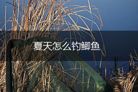 夏天怎么钓鲫鱼,第1张