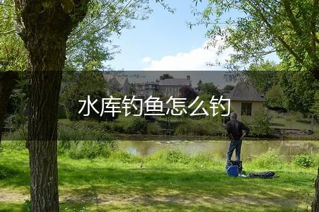 水库钓鱼怎么钓,第1张