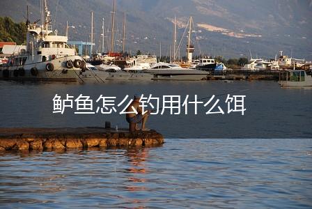 鲈鱼怎么钓用什么饵,第1张