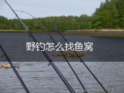野钓怎么找鱼窝,第1张