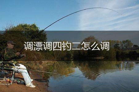 调漂调四钓二怎么调,第1张