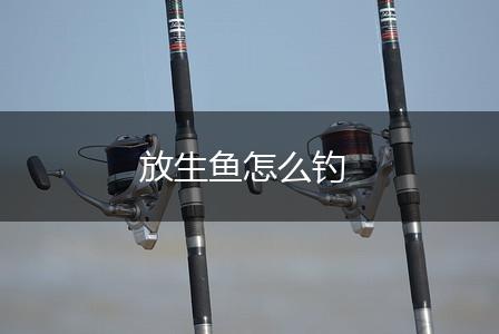 放生鱼怎么钓,第1张