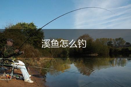 溪鱼怎么钓,第1张