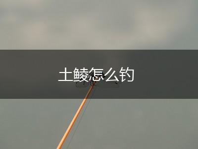 土鲮怎么钓,第1张