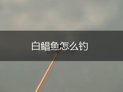 白鲳鱼怎么钓,第1张