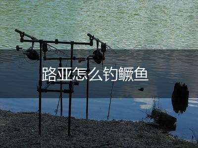 路亚怎么钓鳜鱼,第1张