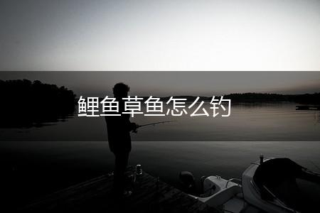 鲤鱼草鱼怎么钓,第1张