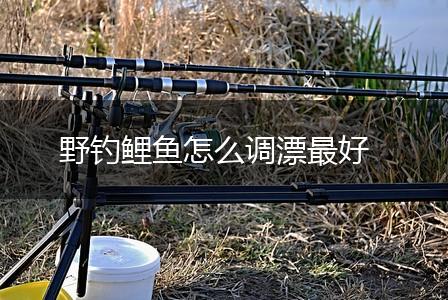野钓鲤鱼怎么调漂最好,第1张