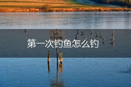 第一次钓鱼怎么钓,第1张