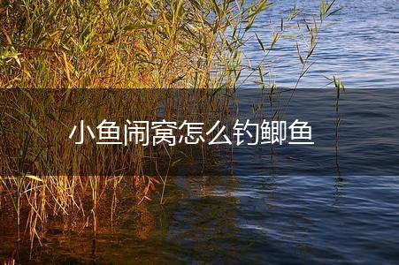 小鱼闹窝怎么钓鲫鱼,第1张