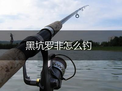 黑坑罗非怎么钓,第1张
