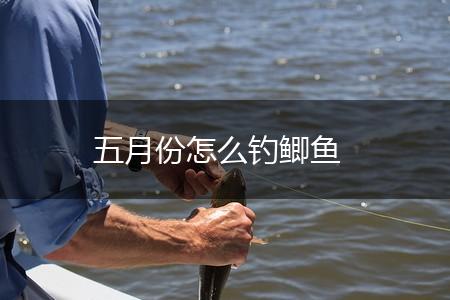 五月份怎么钓鲫鱼,第1张
