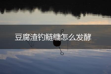 豆腐渣钓鲢鳙怎么发酵,第1张