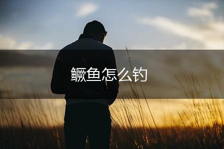 鳜鱼怎么钓,第1张
