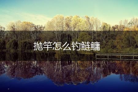 抛竿怎么钓鲢鳙,第1张