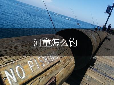 河童怎么钓,第1张