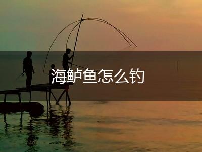 海鲈鱼怎么钓,第1张