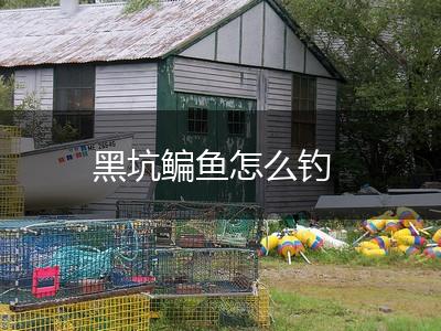 黑坑鳊鱼怎么钓,第1张