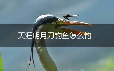天涯明月刀钓鱼怎么钓,第1张