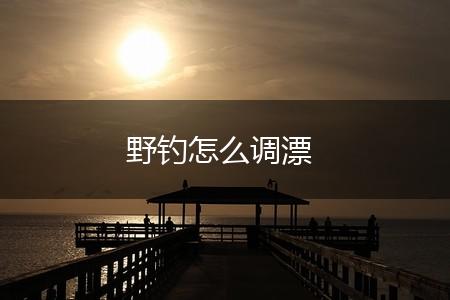 野钓怎么调漂,第1张