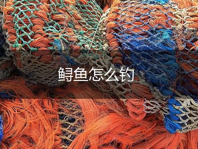 鲟鱼怎么钓,第1张