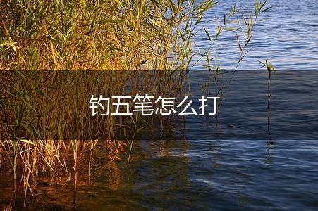 钓五笔怎么打,第1张