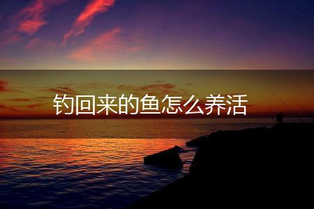 钓回来的鱼怎么养活,第1张