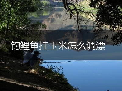 钓鲤鱼挂玉米怎么调漂,第1张