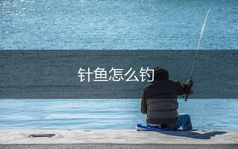 针鱼怎么钓,第1张