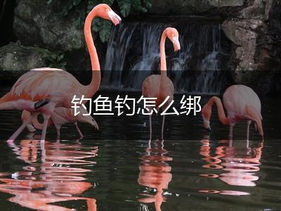 钓鱼钓怎么绑,第1张