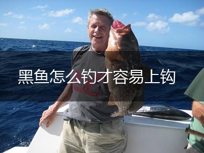 黑鱼怎么钓才容易上钩,第1张