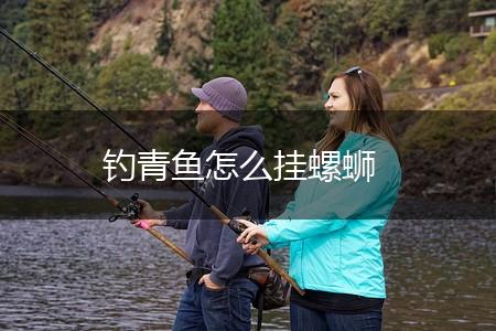 钓青鱼怎么挂螺蛳,第1张