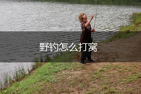 野钓怎么打窝,第1张