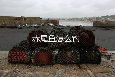 赤尾鱼怎么钓,第1张