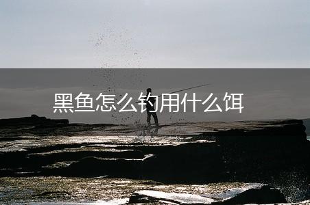黑鱼怎么钓用什么饵,第1张
