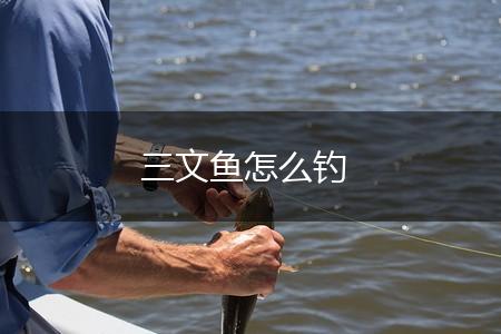 三文鱼怎么钓,第1张