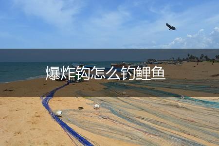 爆炸钩怎么钓鲤鱼,第1张