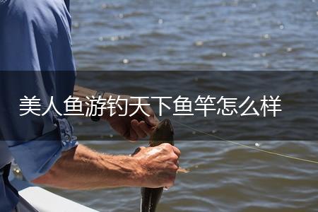 美人鱼游钓天下鱼竿怎么样,第1张