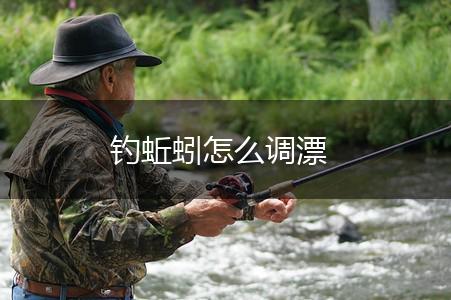 钓蚯蚓怎么调漂,第1张