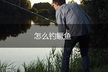 怎么钓鳜鱼,第1张