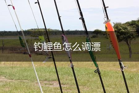 钓鲤鱼怎么调漂,第1张