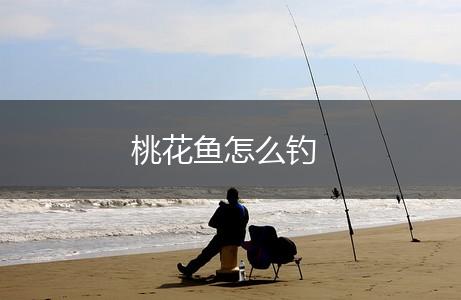 桃花鱼怎么钓,第1张