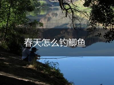 春天怎么钓鲫鱼,第1张