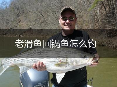 老滑鱼回锅鱼怎么钓,第1张