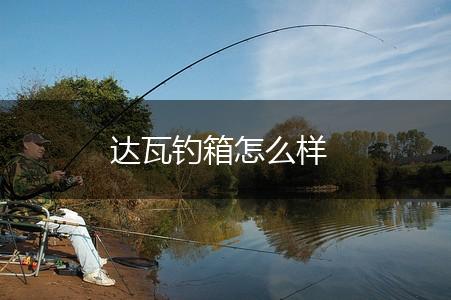 达瓦钓箱怎么样,第1张