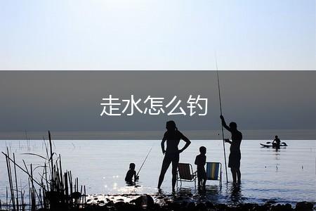 走水怎么钓,第1张